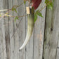 Tusk Shell Charm with Diamond Bail